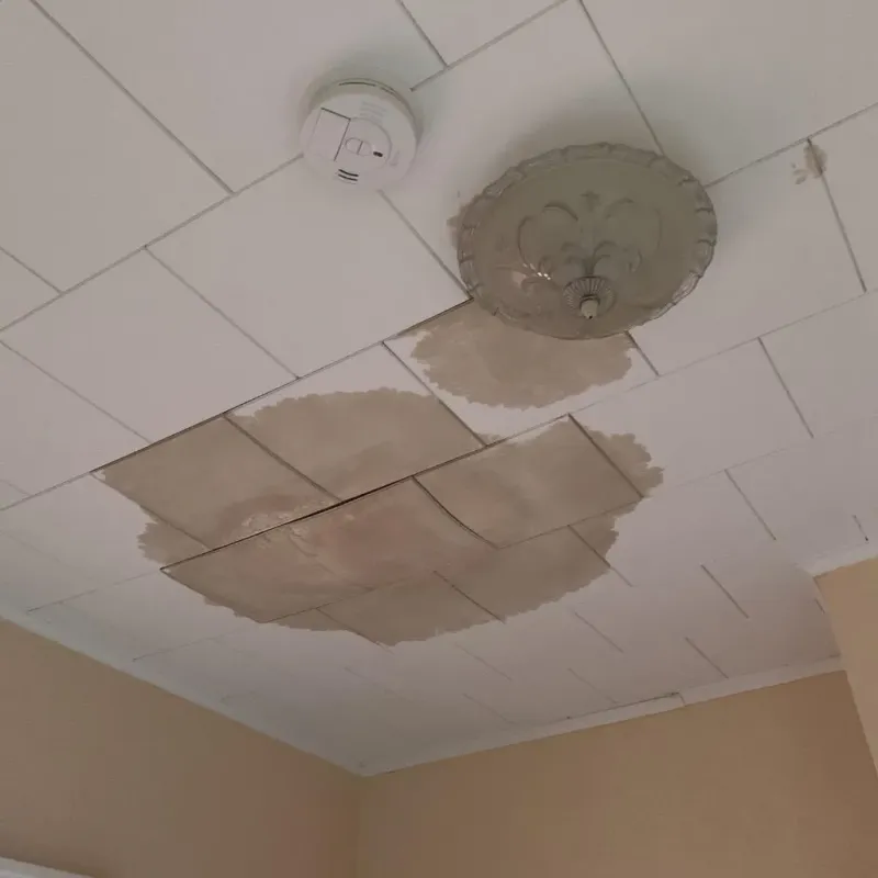 Ceiling Water Damage Repair in Coles County, IL