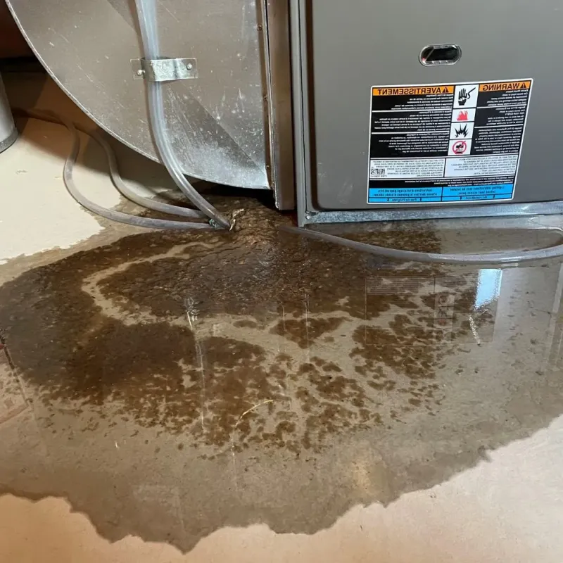 Pipe Burst and Leak Restoration in Coles County, IL