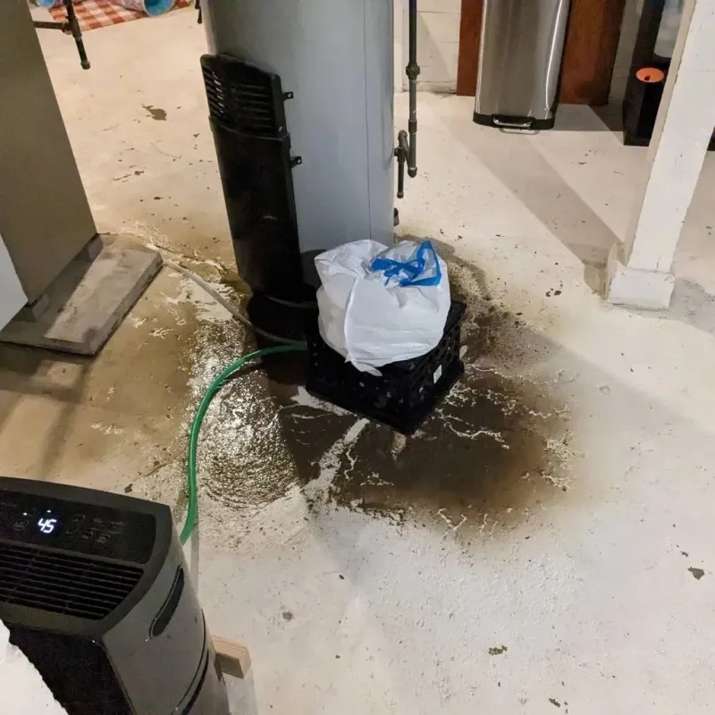 Sewage Backup Cleanup Service in Coles County, IL